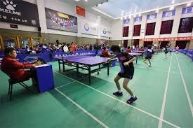 扑克高手的稳定来源（职业牌手的稳健根基）